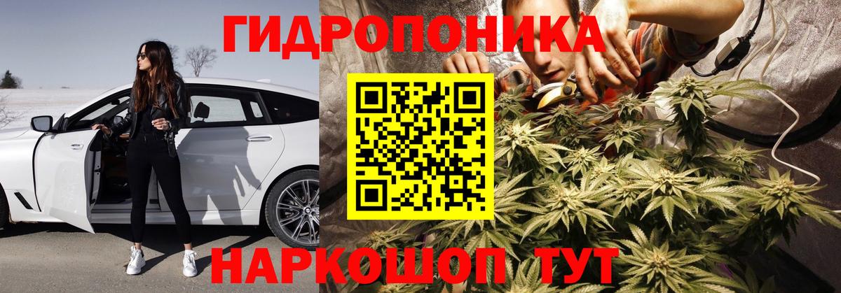 Туапсе  Бошки марихуана конопля  Конопля индика  Бошки марихуана Ganja  Вход с VPN 